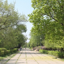 Бульвар Сорокина в Липецке