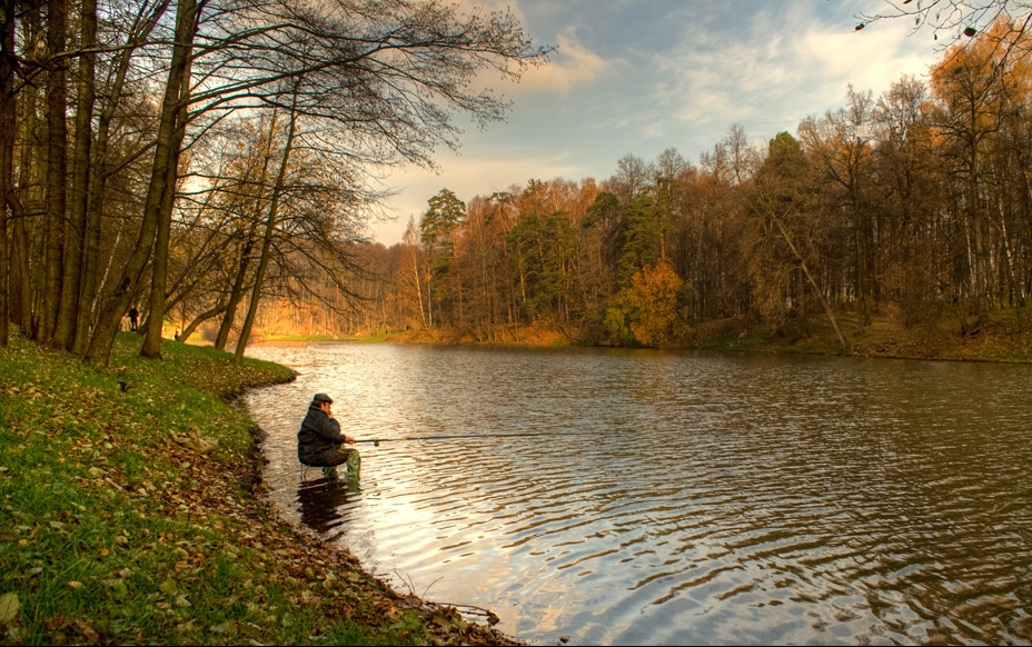 Где в Липецкой области ловить рыбу: особенности и рекомендации