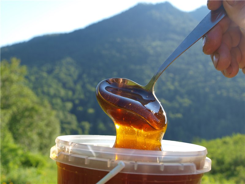 В Липецк привезли мед из Алтайского края