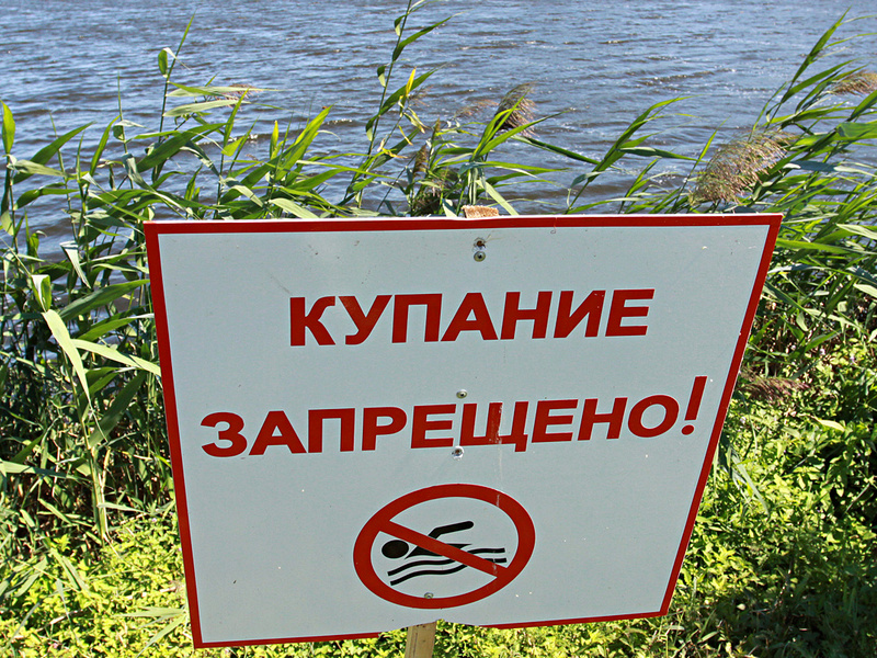 Липчанам запретили купаться