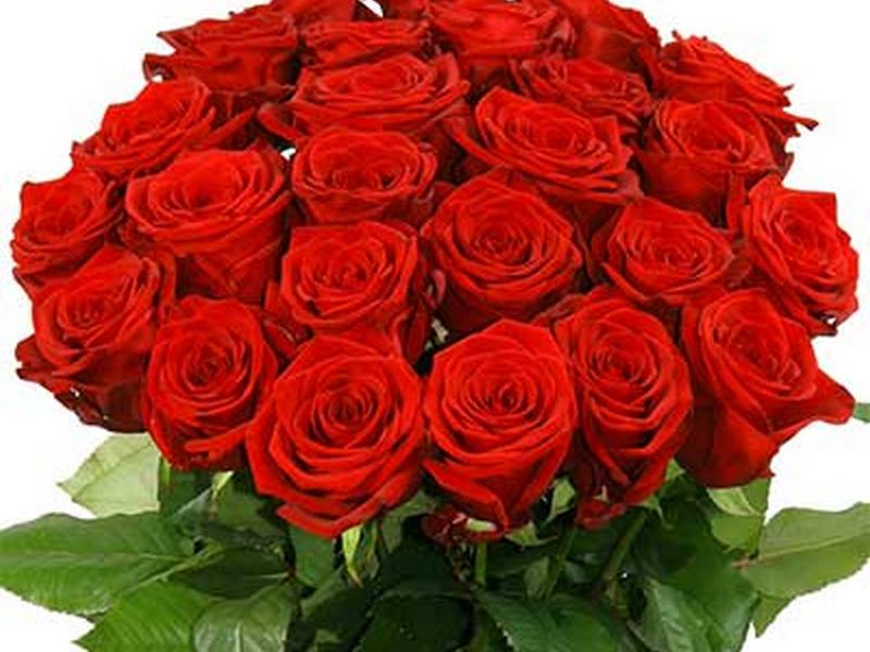 Цветочный интернет-магазин BUKETSHOP – удивительные розы и не только