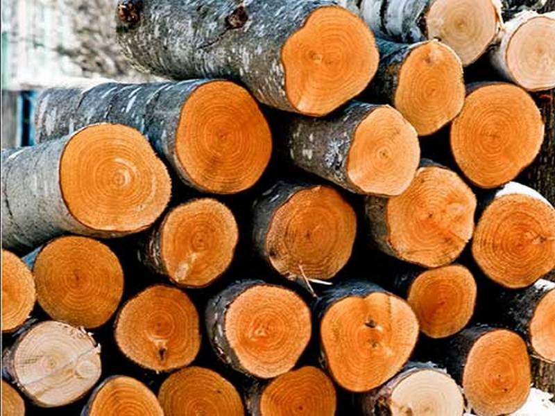 Где купить готовые дрова в Истре с доставкой