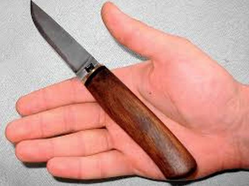 Хозяйственно-бытовые ножи: сфера использования и советы по выбору