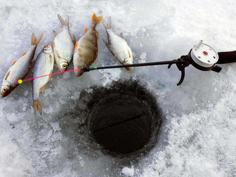 В Задонске состоится фестиваль рыбной ловли