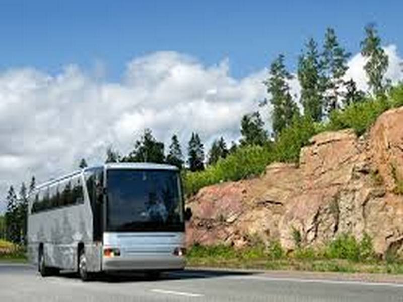 Преимущества автобусных туров на Черное море из Перми автобусом