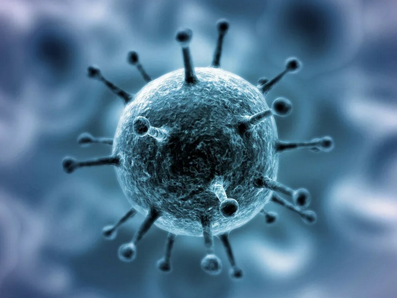 За сутки подтверждено 58 случаев коронавируса