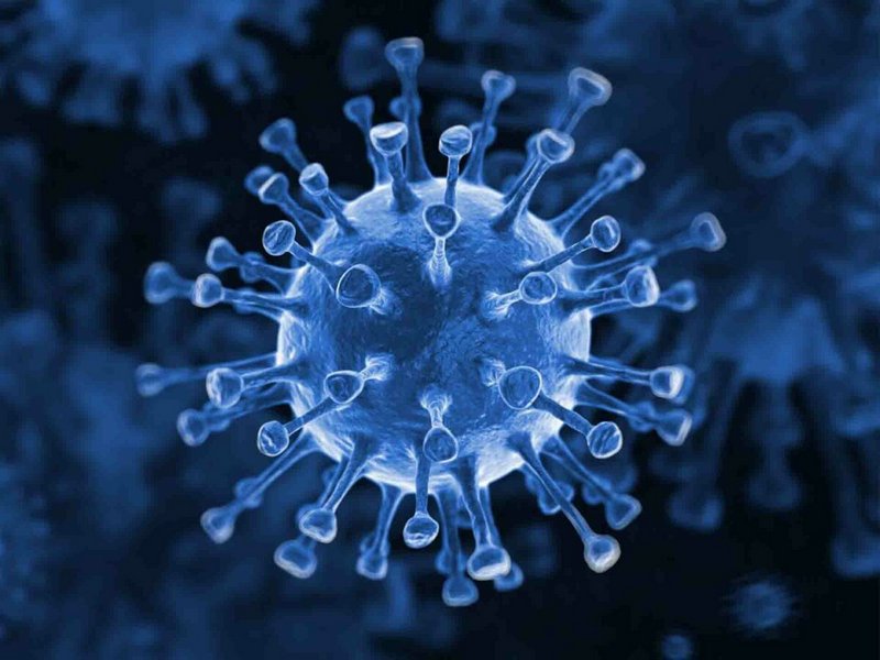 За сутки коронавирус подтвержден у 392 человек