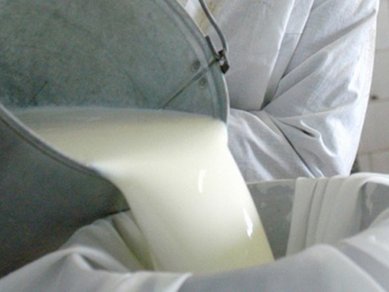 Липецкие производители молока получат субсидии