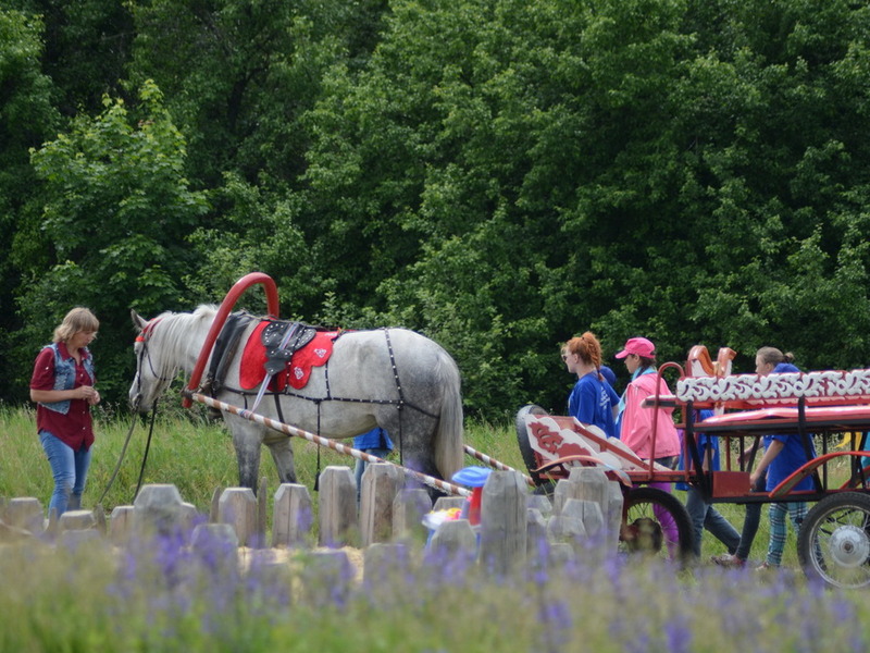 В археологическом парке «Аргамач» пройдет исторический пикник
