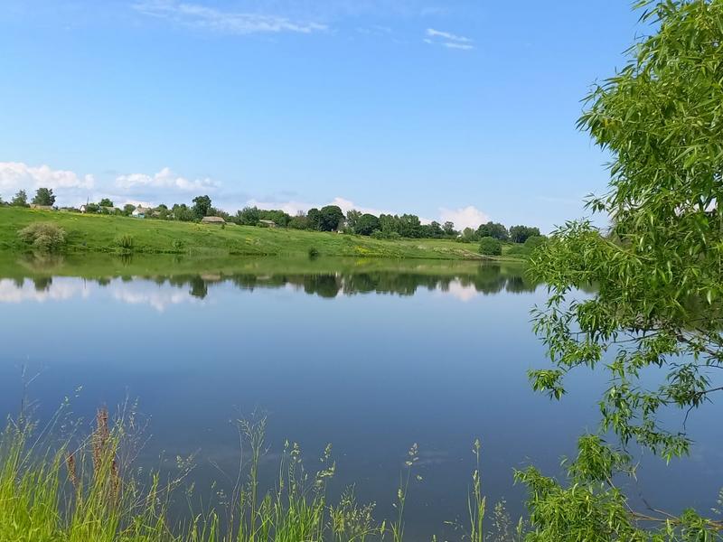 В Липецкой области расчистили 15 прудов