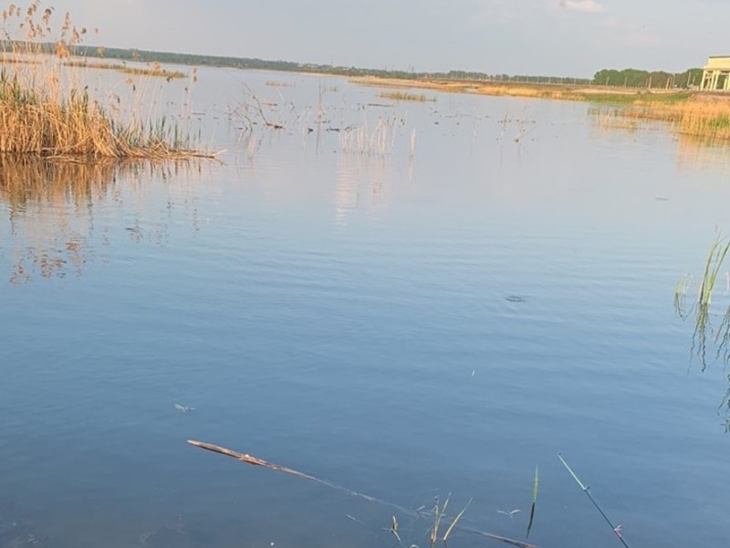 Активисты очистили русло реки Липовка