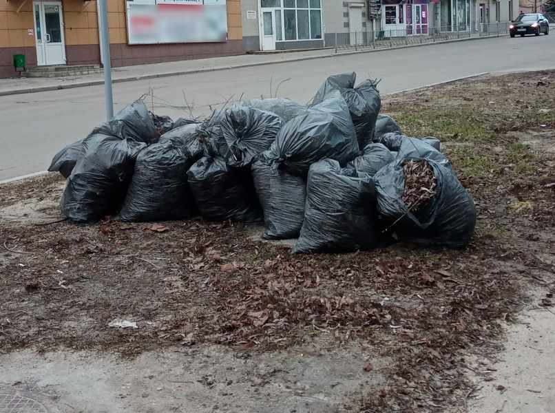 В Липецке собрали 70 тонн мусора