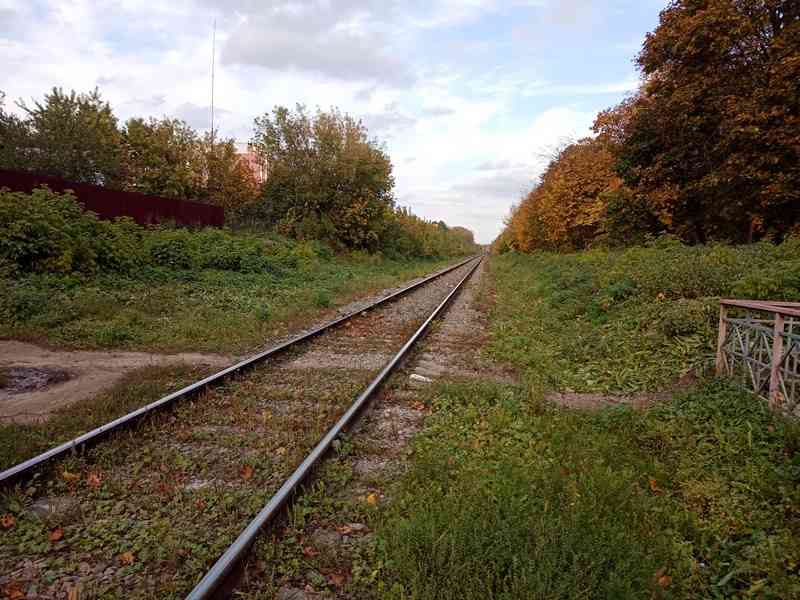 ДТП в Липецкой области: столкнулись легковушка и локомотив