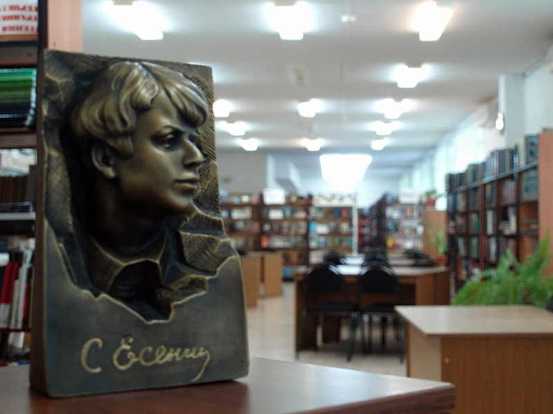 Липецкая библиотека выиграла президентский грант