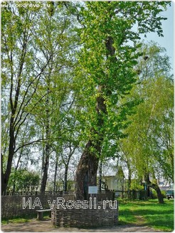 Фото Титова У.А.