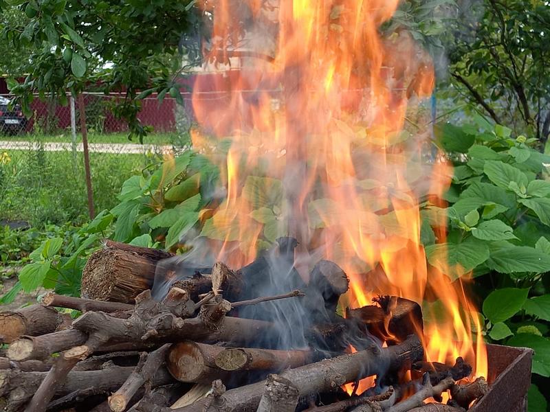 Липчане не поделили мангал на базе отдыха