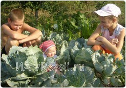 Фоторабота Эдуарда Бабича 
