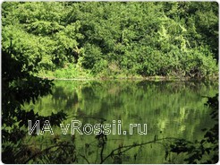 Лес в Липецкой области и река Дон
