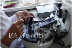 <em>Гистологическое исследование</em>