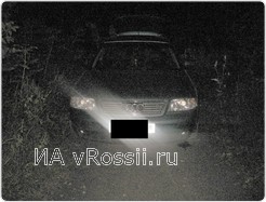 <em>Ельчанин действовал под покровом темноты</em> 