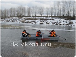Собака на льдине 17.02.2016